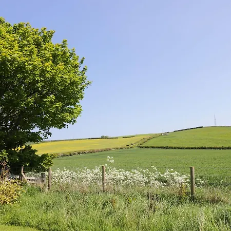 Field Loftus